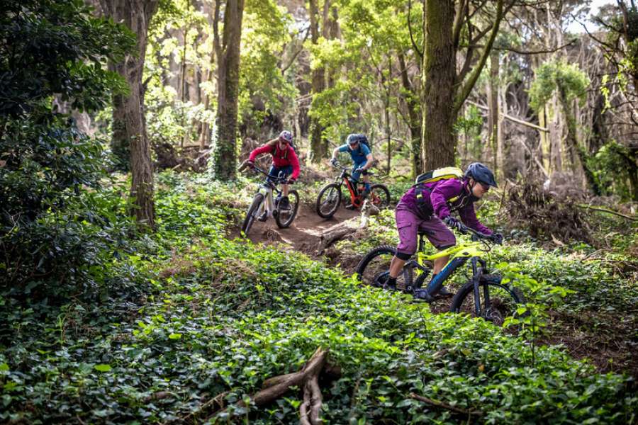HaiBike - czyli jak to się zaczęło